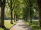Entdecke Münchens Englischen Garten